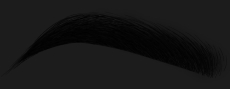 14: candibrows