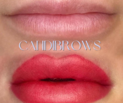 2 2: candibrows