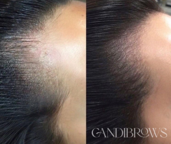 5 3: candibrows